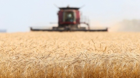 Los precios del trigo y el maíz suben después de que Rusia abandonara el acuerdo de granos del mar Negro