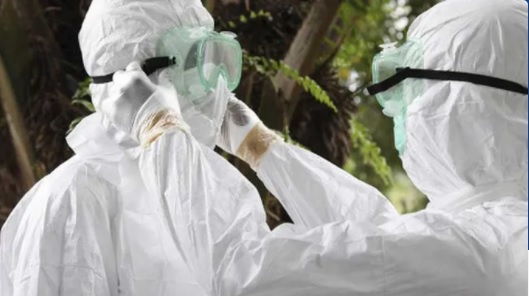El ébola podría estar latente en curados hasta cinco años
