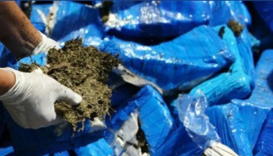 Guardacostas de EEUU decomisan 674 kilos marihuana cerca de la costa de Haití