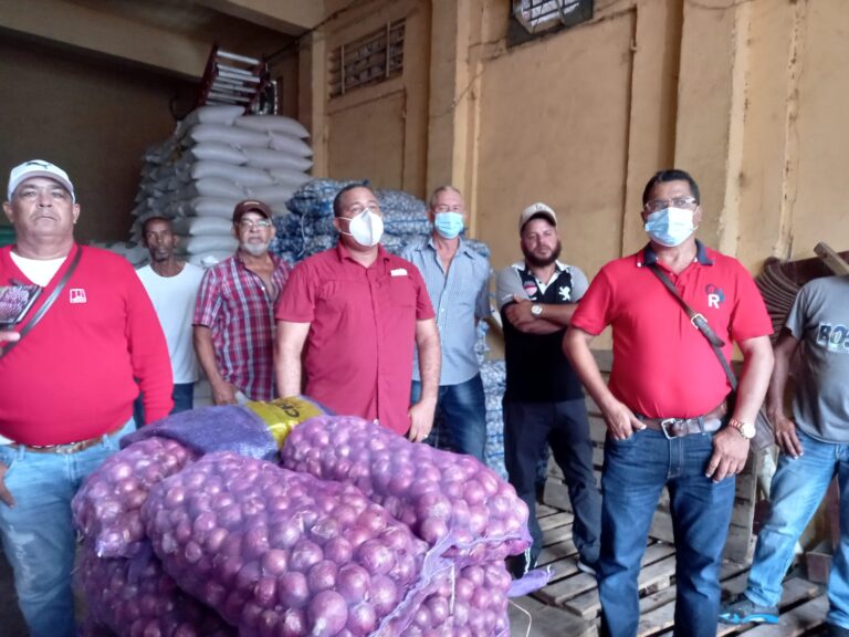 Productores de cebolla denuncian Gobierno quiere llevarlos a la quiebra con importación