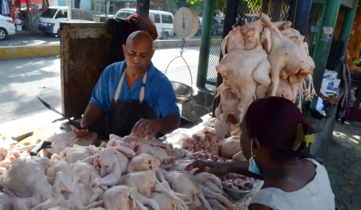 Avicultores de Santiago aseguran importación de pollos no bajará los precios