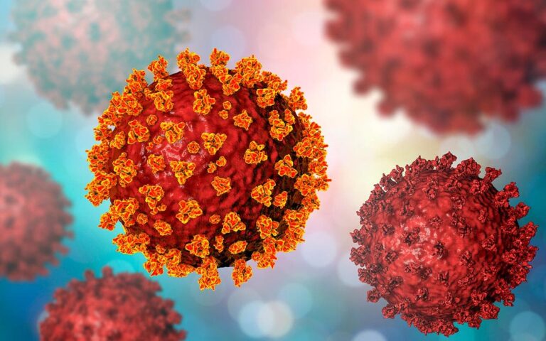 Científicos suizos descubren cómo bloquear la infección del coronavirus SARS-CoV-2