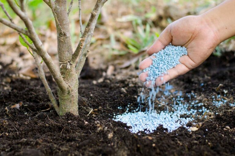 Aporte del Gobierno evitará nuevos aumentos de precios de fertilizantes