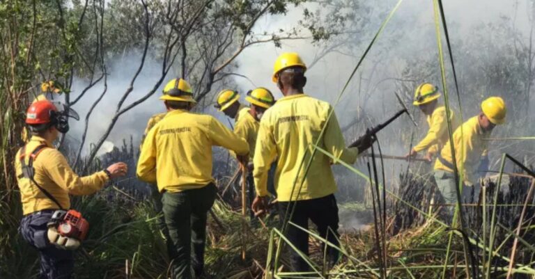 Incendio forestal en Cap Cana está controlado, informa Medio Ambiente