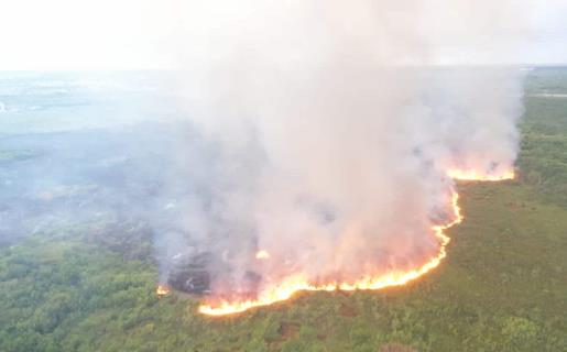 Incendio forestal afecta desde anoche la zona de Punta Cana