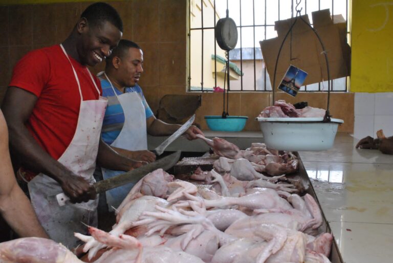 Junta Agroempresarial dice pollo no debe ser incluido en proyecto que busca eliminar aranceles
