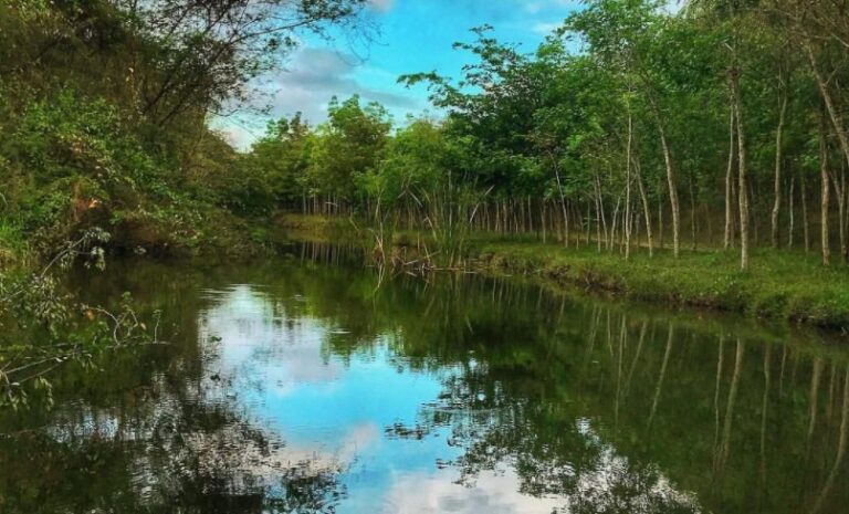 Presidente Abinader crea mediante decreto el Refugio de Vida Silvestre Humedales de Laguna Prieta