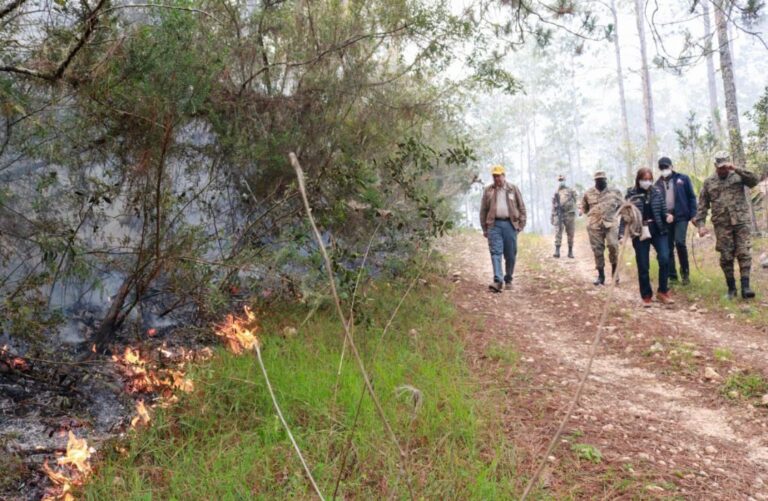 Continúan los incendios provocados en el Parque Nacional Sierra de Bahoruco