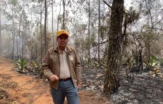 Medio Ambiente acusa a ganaderos de provocar intencionalmente incendios en Sierra de Bahoruco