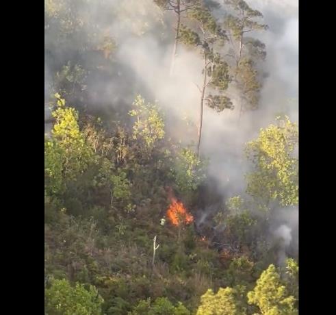 Bomberos forestales van en auxilio de Loma Miranda tras reportar incendio