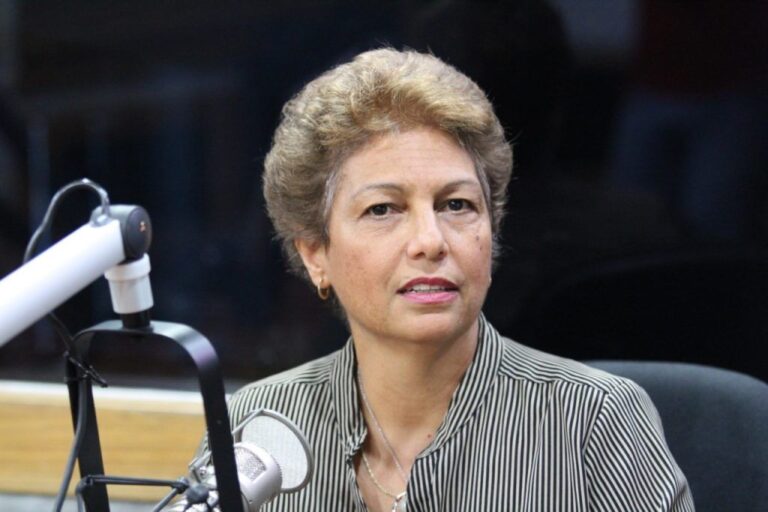 Politóloga Rosario Espinal “arremete” contra Abinader: “El anunciado muro en la frontera es para concitar apoyo político nacional”