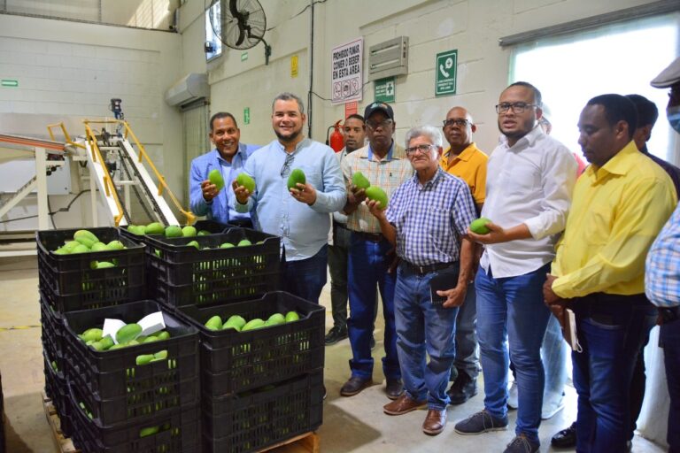 VIDEO-FEDA apoya a productores; crearán Federación Nacional de Productores de Mango