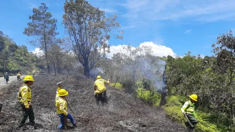 Medio Ambiente dice ha identificado responsable de incendio en Valle Nuevo 