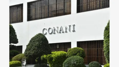 Cámara de Cuentas encuentra en Conani irregularidades por casi RD$379 millones