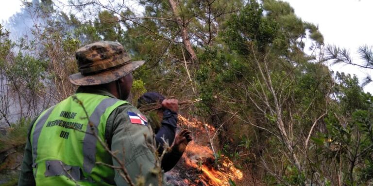 Trabajan para sofocar incendio en Valle Nuevo Constanza