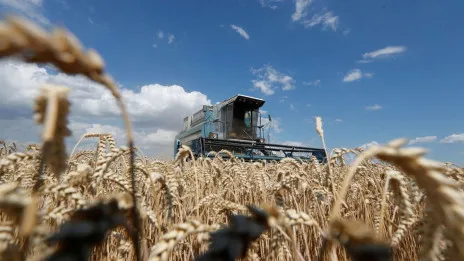 Rusia niega causar crisis alimentaria; dice Ucrania puede exportar a través de Polonia
