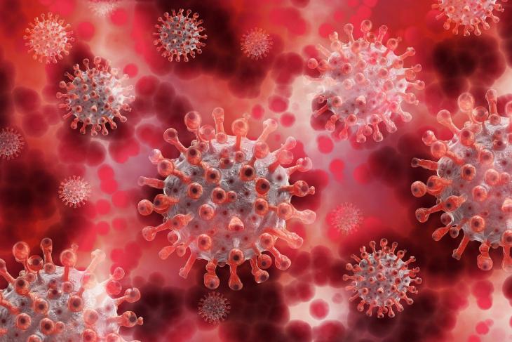 OMS advierte coronavirus sigue siendo emergencia global salud pública