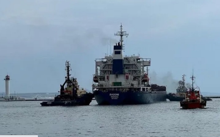 Turquía confirma que el buque con cereales zarpó de Odesa rumbo a Estambul