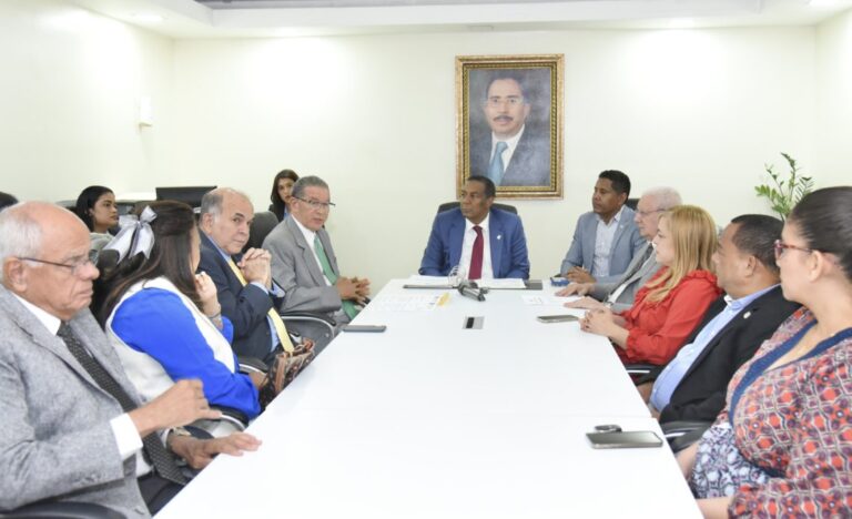 Instituto Duartiano visita Cámara de Diputados para tratar tema haitiano