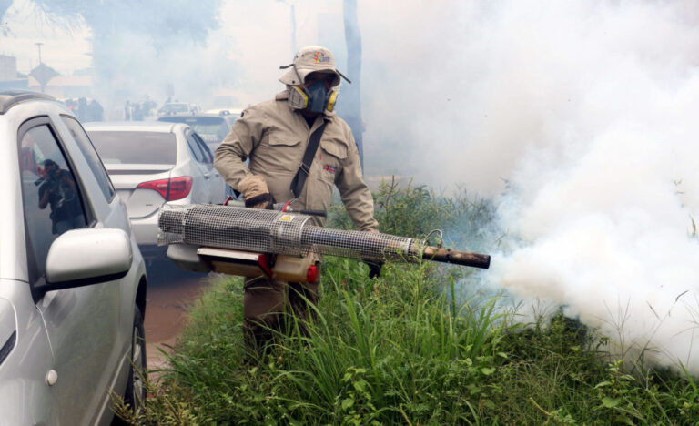 Más de 5.000 personas movilizadas contra el dengue en Bolivia