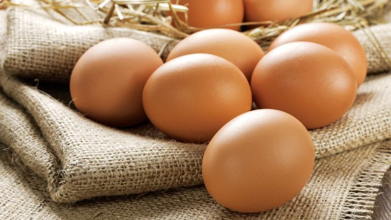 Productores de huevos piden revocar la resolución que prohíbe su exportación hacia Haití