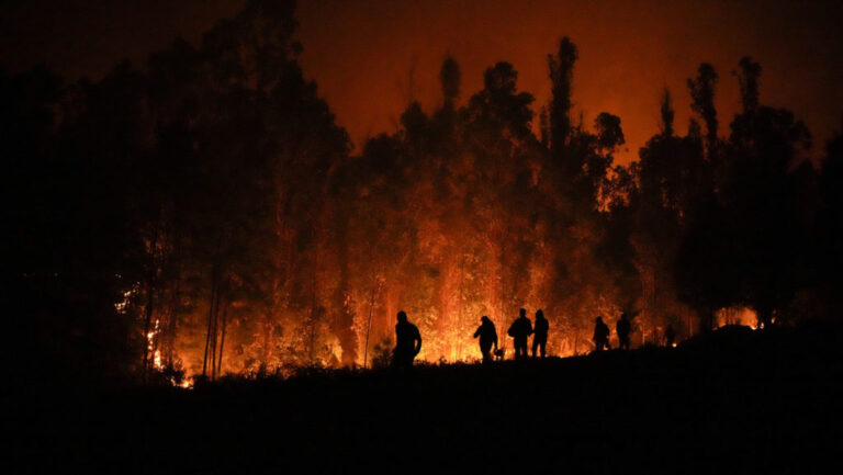 Chile comunica que hay más de 300 incendios forestales activos en el país