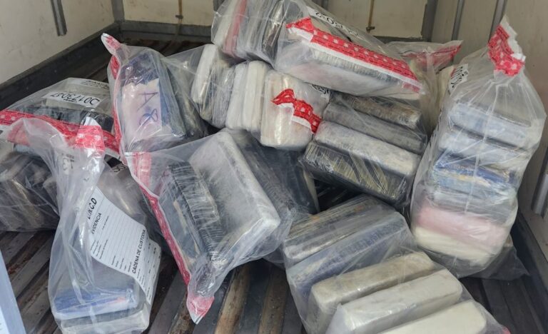 DNCD incauta de 92 paquetes de cocaína que serían enviados a Holanda