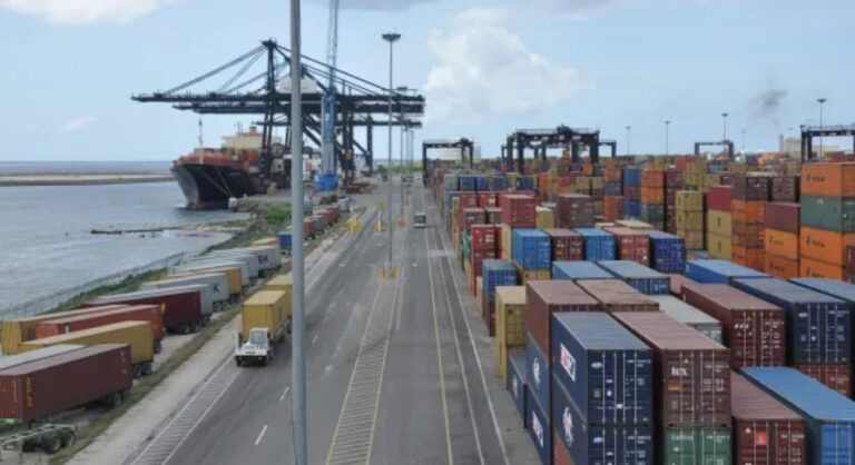 ¡Increíble! Roban más de 375 toneladas de harina de soja del puerto de Haina