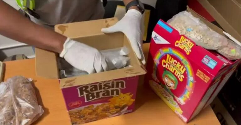 Decomisan 17 paquetes de marihuana camuflados en aspiradora y cajas de cereal