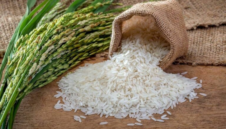 Saco de arroz presenta alzas de precios de hasta un quince por ciento