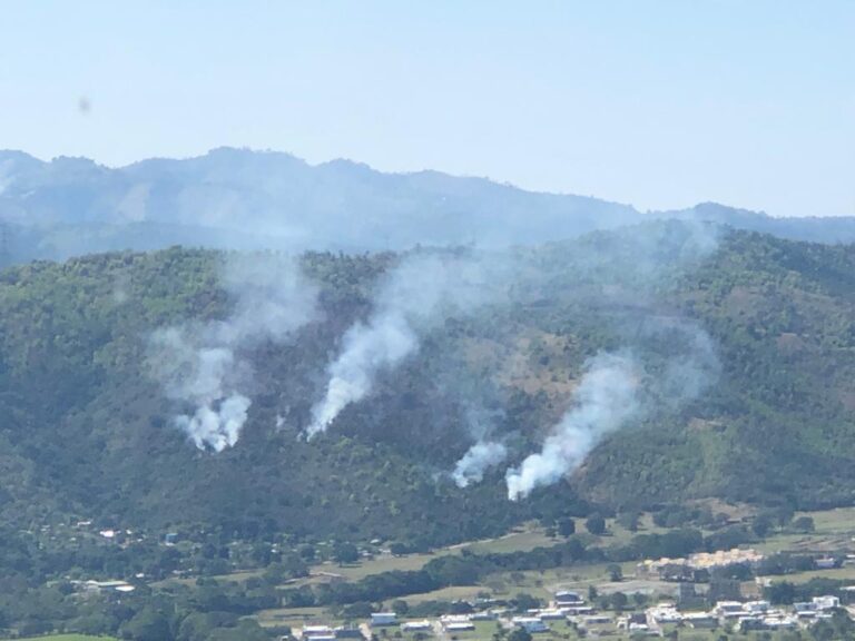 Medio Ambiente informa incendio forestal en Valle Nuevo sigue bajo control y estaría sofocado en las próximas horas