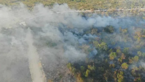 Apresan siete personas por incendios de Punta Cana; bomberos forestales continúan trabajando para sofocarlo