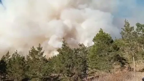 Continúa incendio forestal en Valle Nuevo