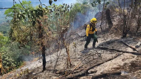 43 personas apresadas por originar incendios en diferentes puntos del país, según Medio Ambiente