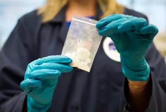 Estados Unidos pone en marcha un plan contra el fentanilo adulterado con sedante para animales