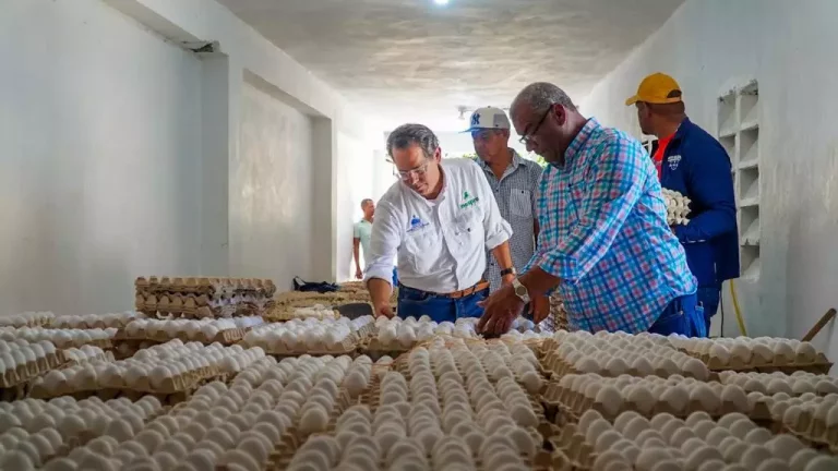 Inespre inicia compra de pollos y huevos a productores de Dajabón