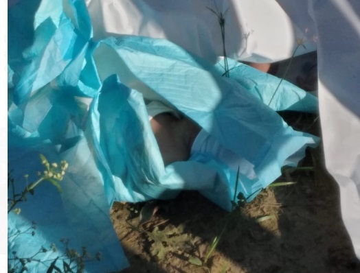 Hospital Juan Bosch informa cadáveres de neonatos fueron entregados a funeraria para sepultarlos