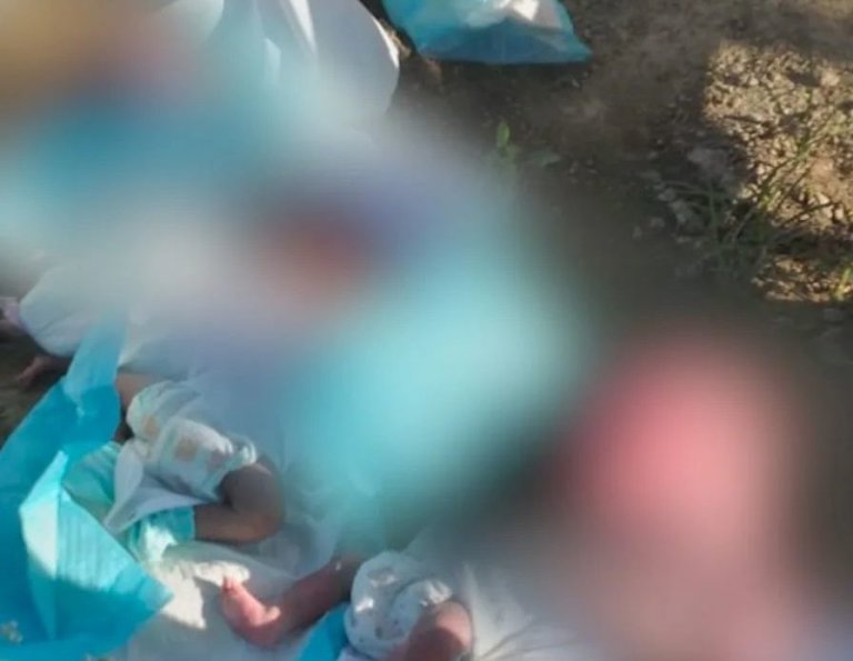 Ayuntamiento de SDE pide que se investigue a los responsables de cadáveres de neonatos frente a cementerio