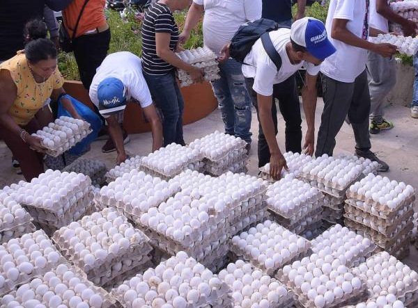 Productores de huevos denuncian tienen pérdidas por mil millones de pesos