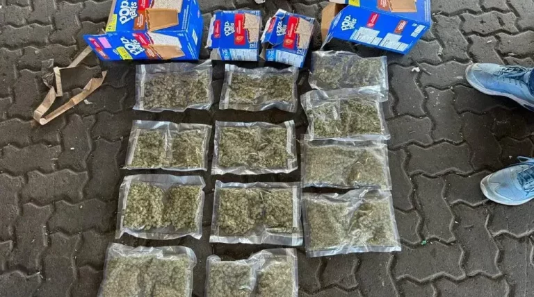 Entre cajas de galletas y latas de comida DNCD halla paquetes de marihuana