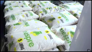 Reportaje- Altos precios de los alimentos sigue siendo principal dolor de cabeza de la población