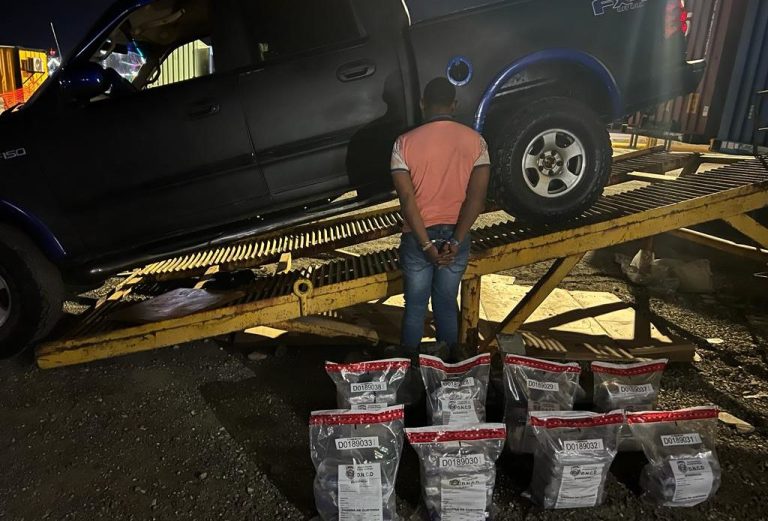 DNCD ocupa 40 paquetes de cocaína en el Puerto de Santo Domingo