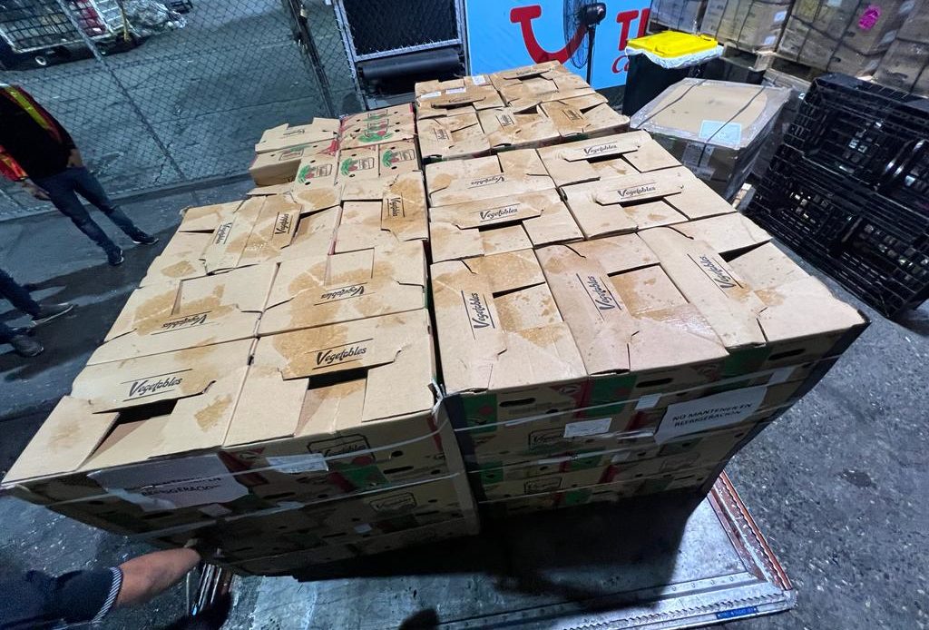 Agentes de la DNCD ocupan en carga de cocos 56 paquetes cocaína en el AILA