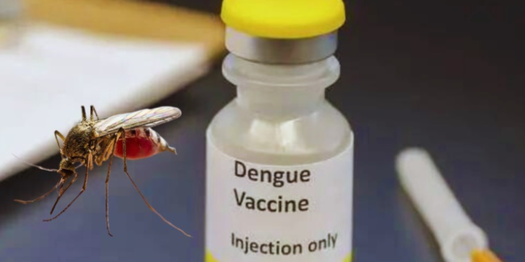 Nueva vacuna contra el dengue es probada con éxito en Suiza