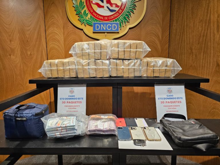 DNCD confisca 225 paquetes de cocaína camuflados en paletas de madera