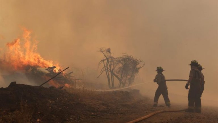 Ascienden a 56 los fallecidos en los incendios de Chile