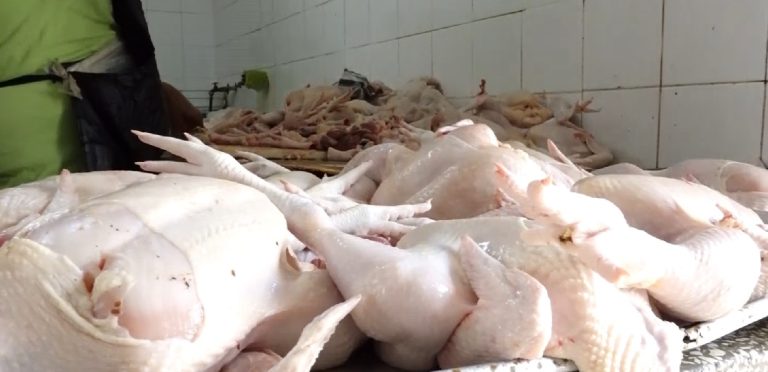 Ante escasez y alza de precio del pollo, Inespre anuncia venta de la carne a precio asequible