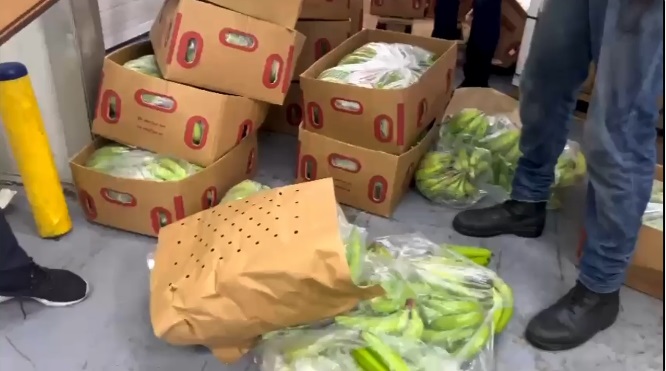 Incautan 663 láminas de cocaína camufladas en cajas cargadas de banano en Puerto Caucedo