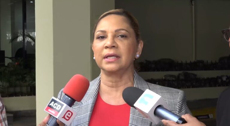 Diputada Soraya Suárez está a favor del voto automatizado