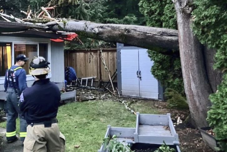 Gran tormenta al noroeste de EE.UU. deja un muerto y 600 mil casas sin luz